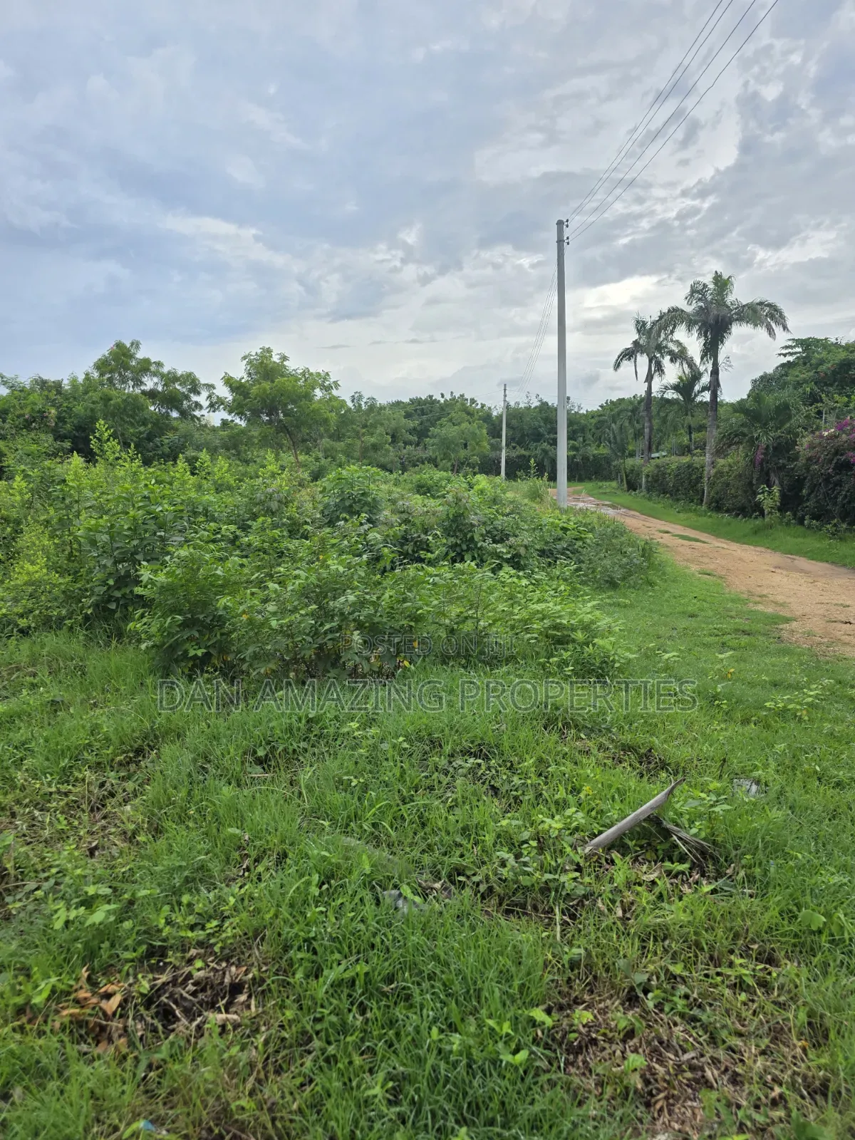 Half an Acre Diani Hibiscus Area for Sale