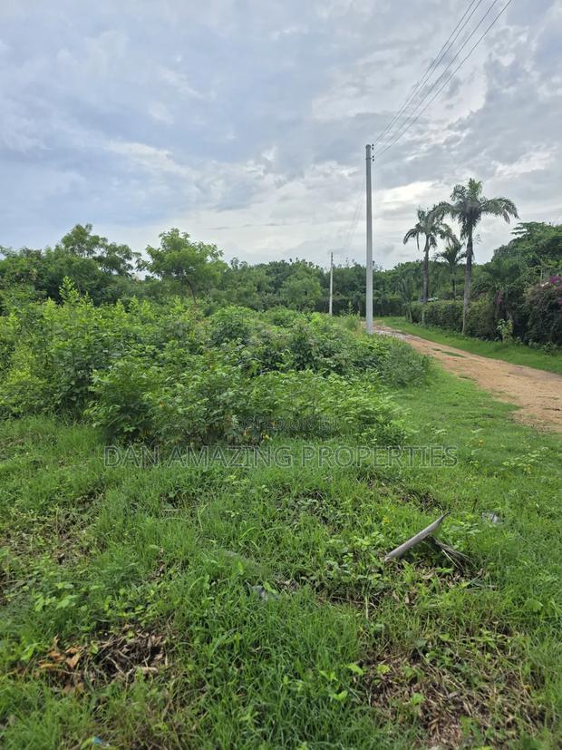 Half an Acre Diani Hibiscus Area for Sale - thumbnail 3