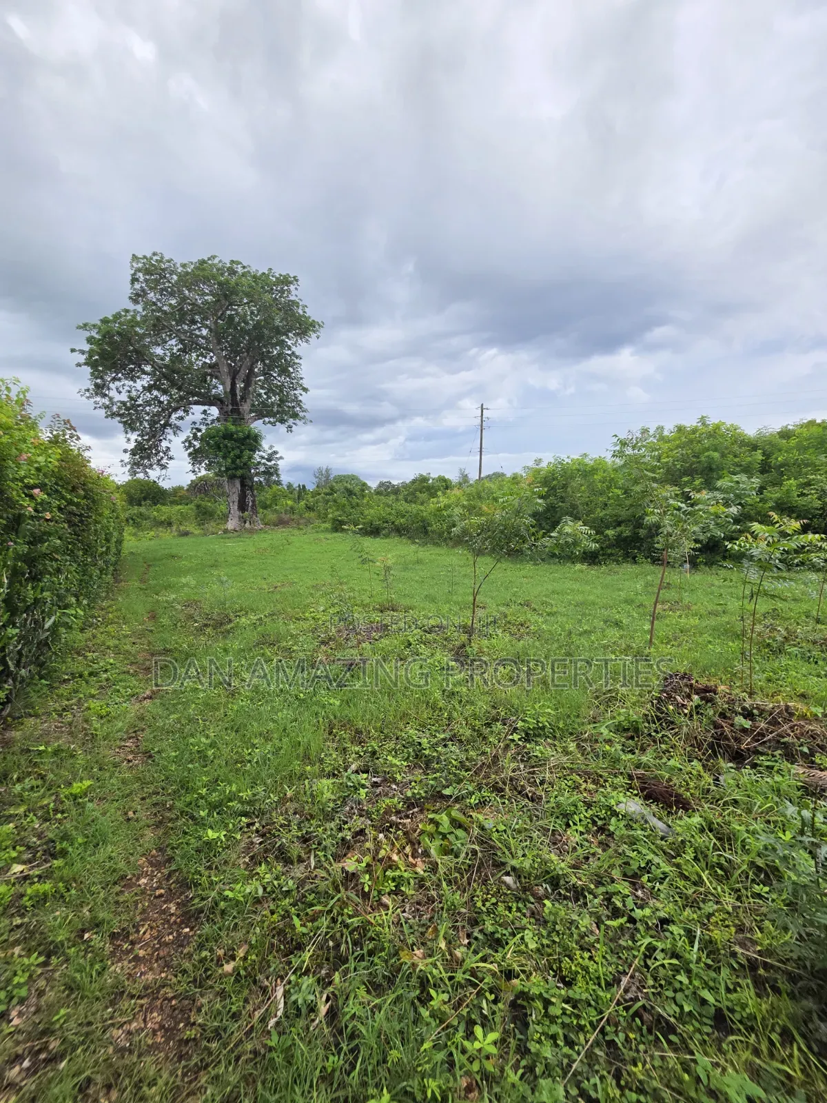 Half an Acre Diani Hibiscus Area for Sale