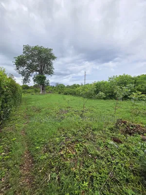 Half an Acre Diani Hibiscus Area for Sale