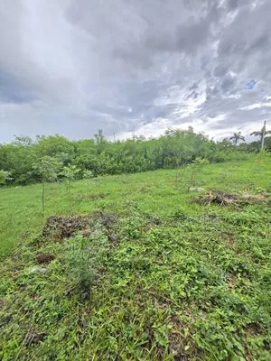 Half an Acre Diani Hibiscus Area for Sale