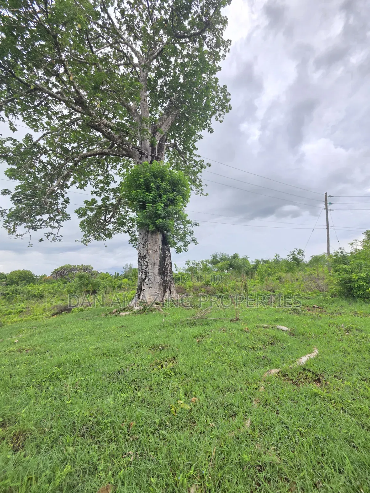 Half an Acre Diani Hibiscus Area for Sale