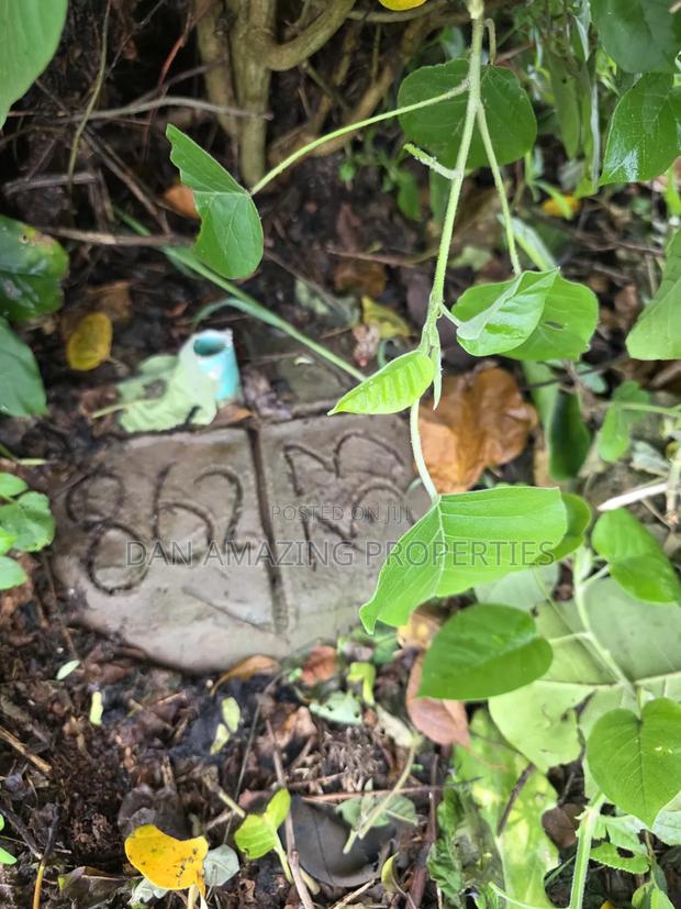 Half an Acre Diani Hibiscus Area for Sale - thumbnail 10