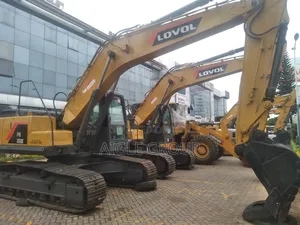 22.5ton Excavator Year 2022 on Sale
