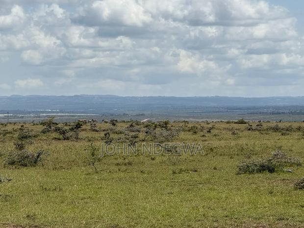 Nanyuki Prime Land - thumbnail 3