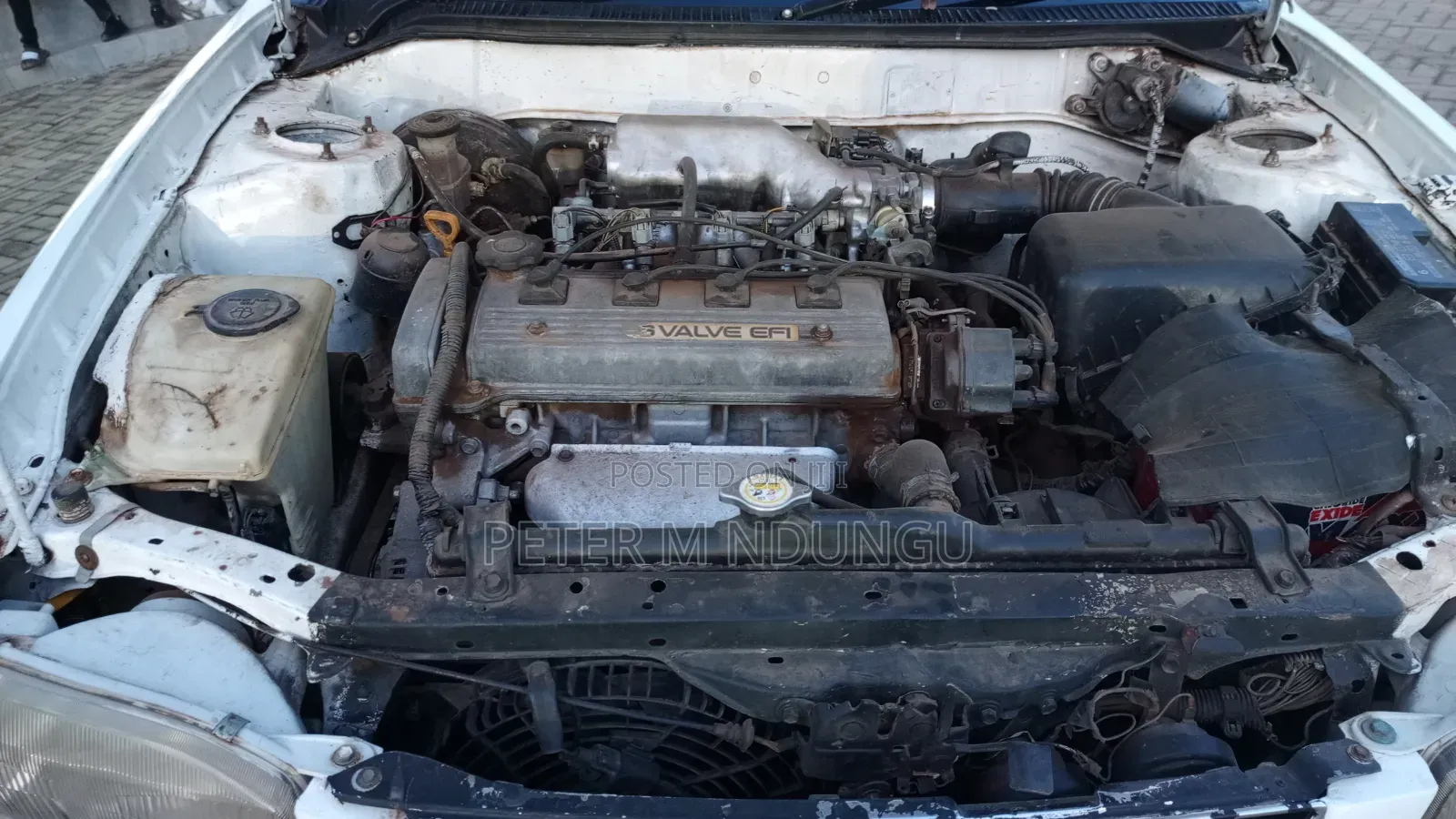 Toyota Corolla 1995 White