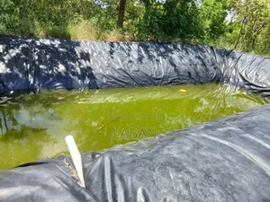 Kabiti 2.9acres