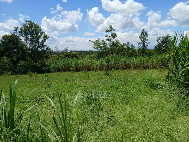 Kabiti 2.9acres - thumbnail 6