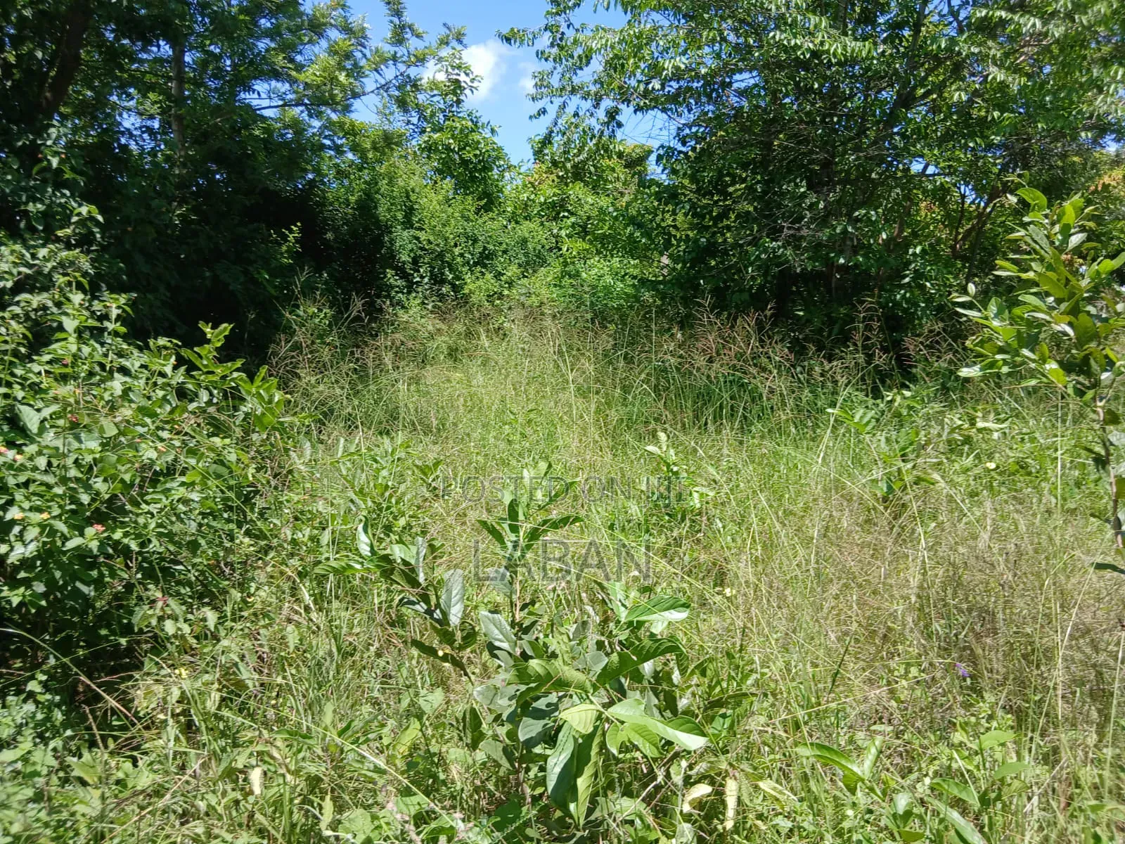 Kabiti 2.9acres