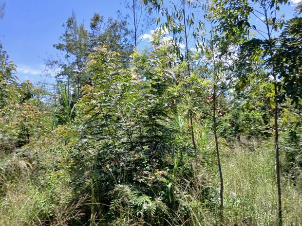 Kabiti 2.9acres - thumbnail 12
