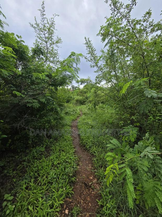 2 Pieces of 1/4 Acre Each Diani Behind Sunderowner for Sale - thumbnail 4