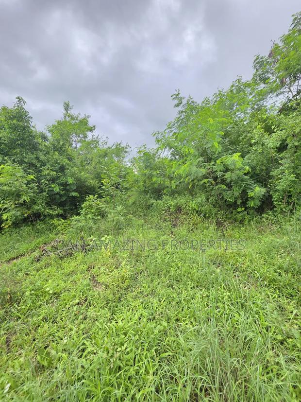 2 Pieces of 1/4 Acre Each Diani Behind Sunderowner for Sale - thumbnail 8