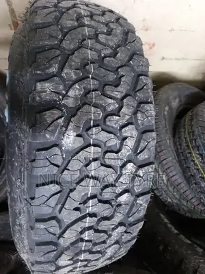 265/70r17 Everland