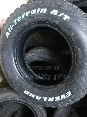 265/70r17 Everland
