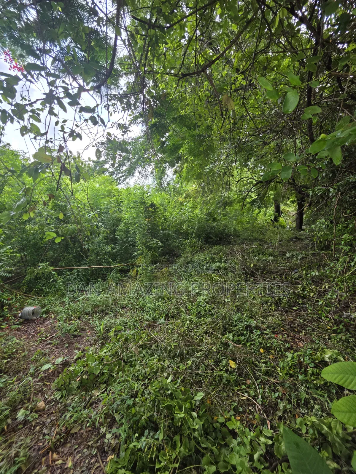 3 Acres for Sale as a Block Touching Diani Beach Road