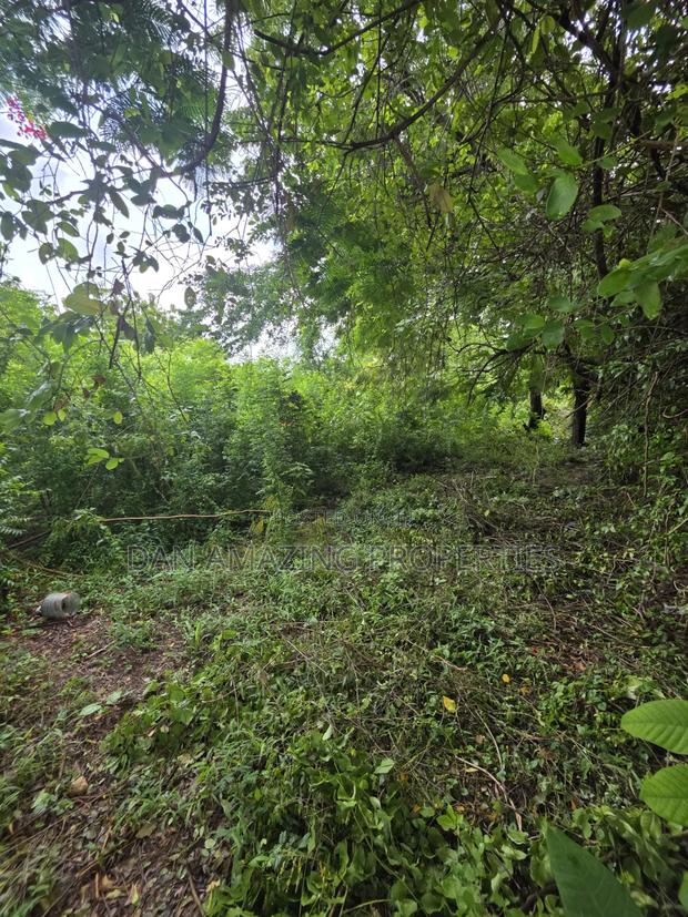 3 Acres for Sale as a Block Touching Diani Beach Road - thumbnail 4