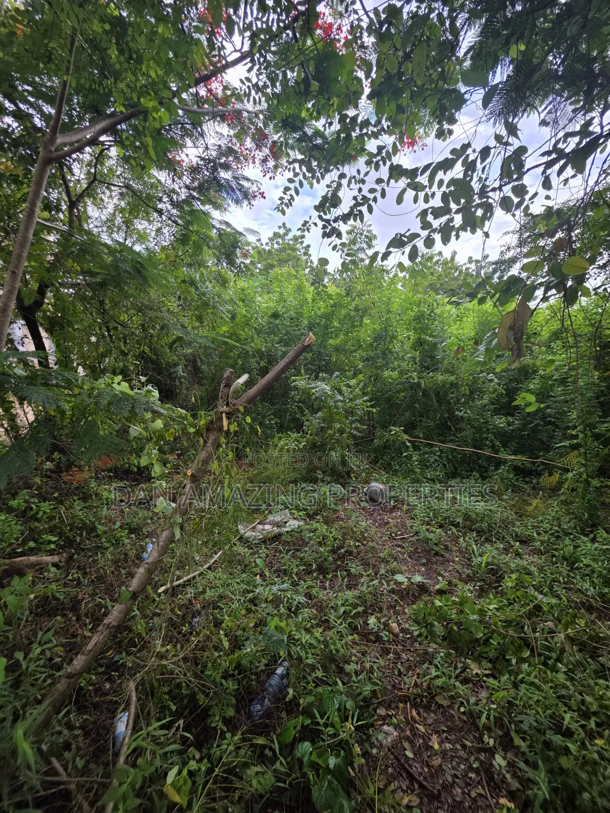 3 Acres for Sale as a Block Touching Diani Beach Road