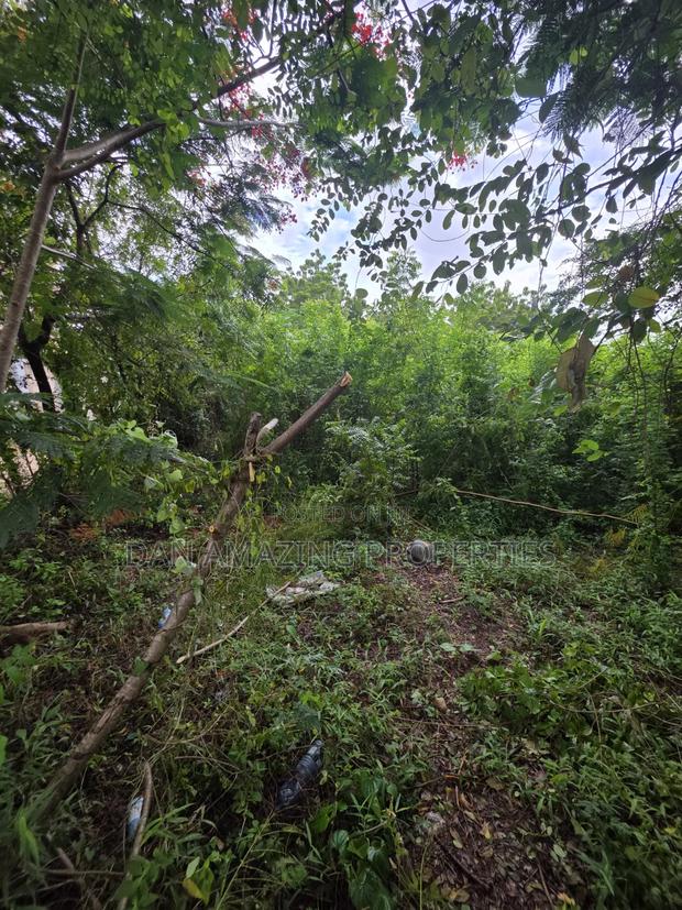 3 Acres for Sale as a Block Touching Diani Beach Road - thumbnail 8