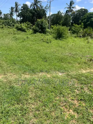3 Acres Land at Gede