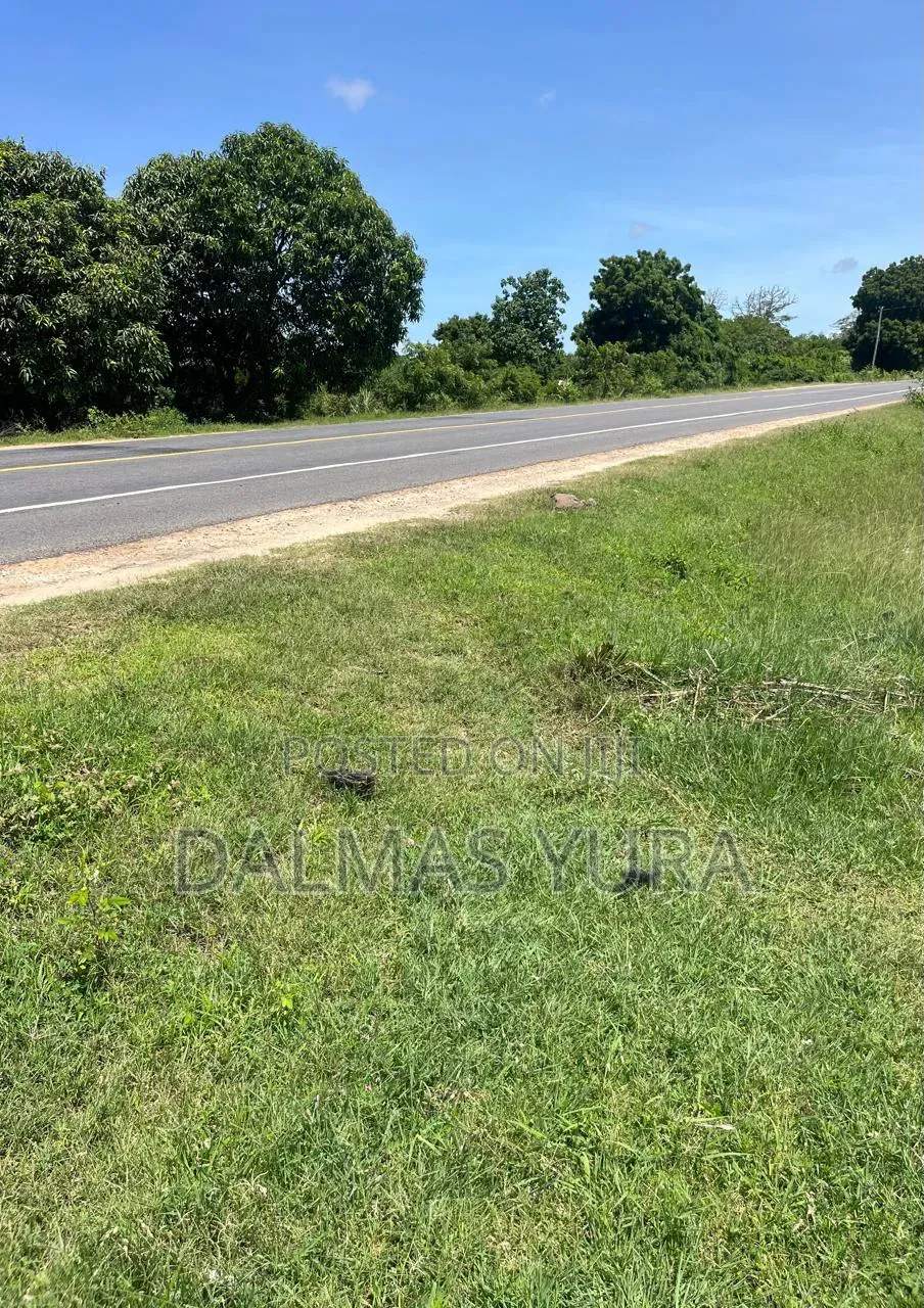 3 Acres Land at Gede