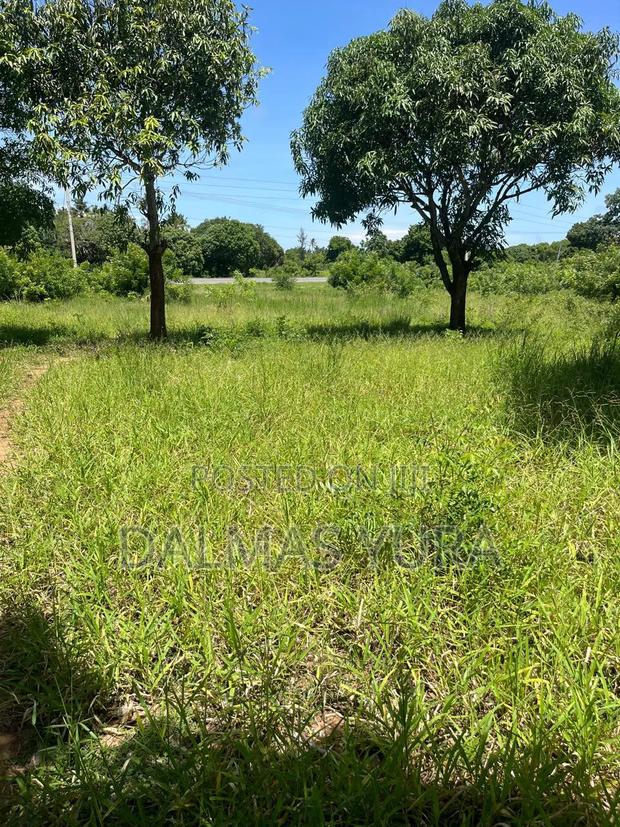 3 Acres Land at Gede - thumbnail 4