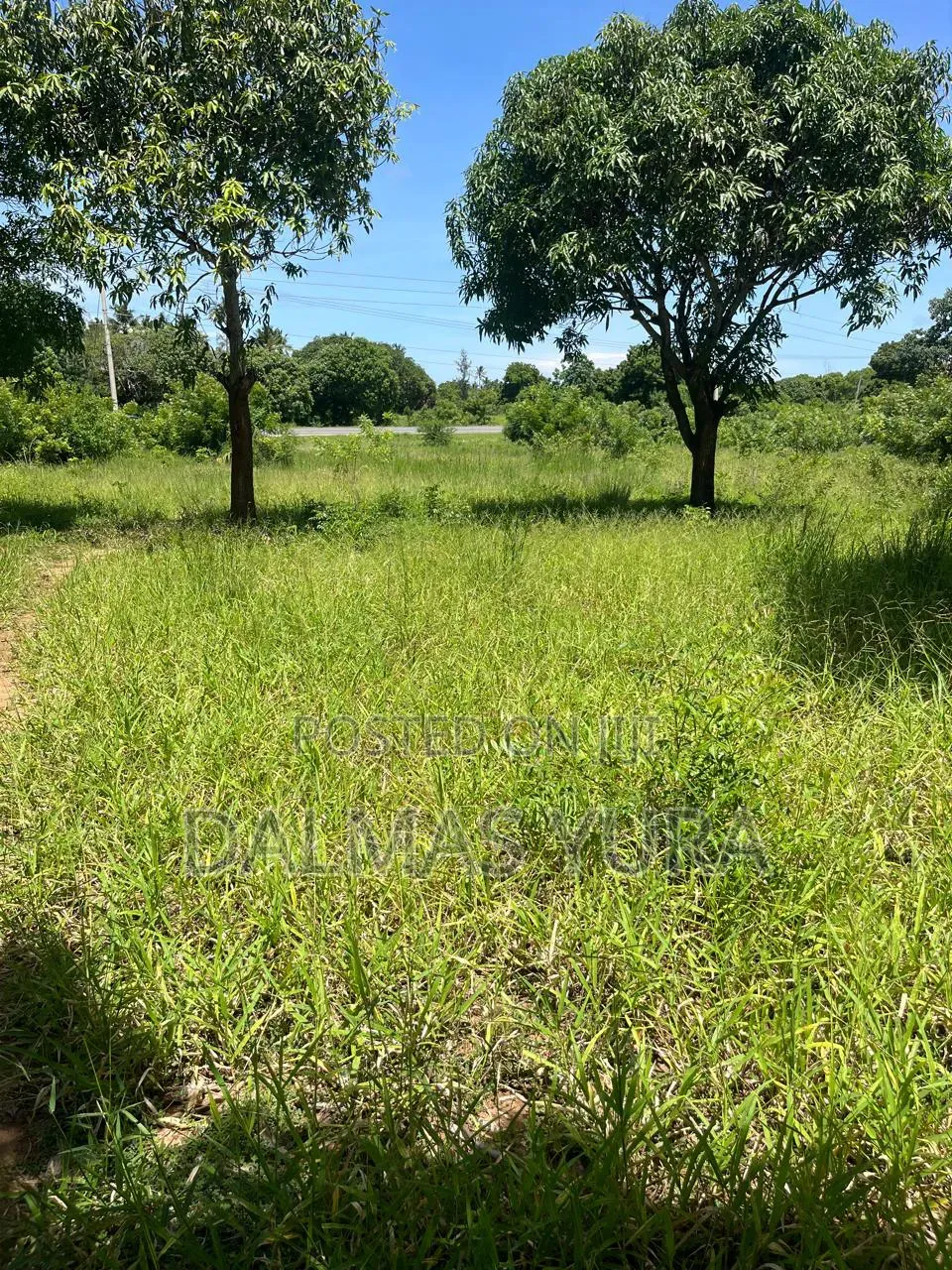 3 Acres Land at Gede