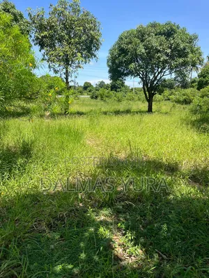 3 Acres Land at Gede