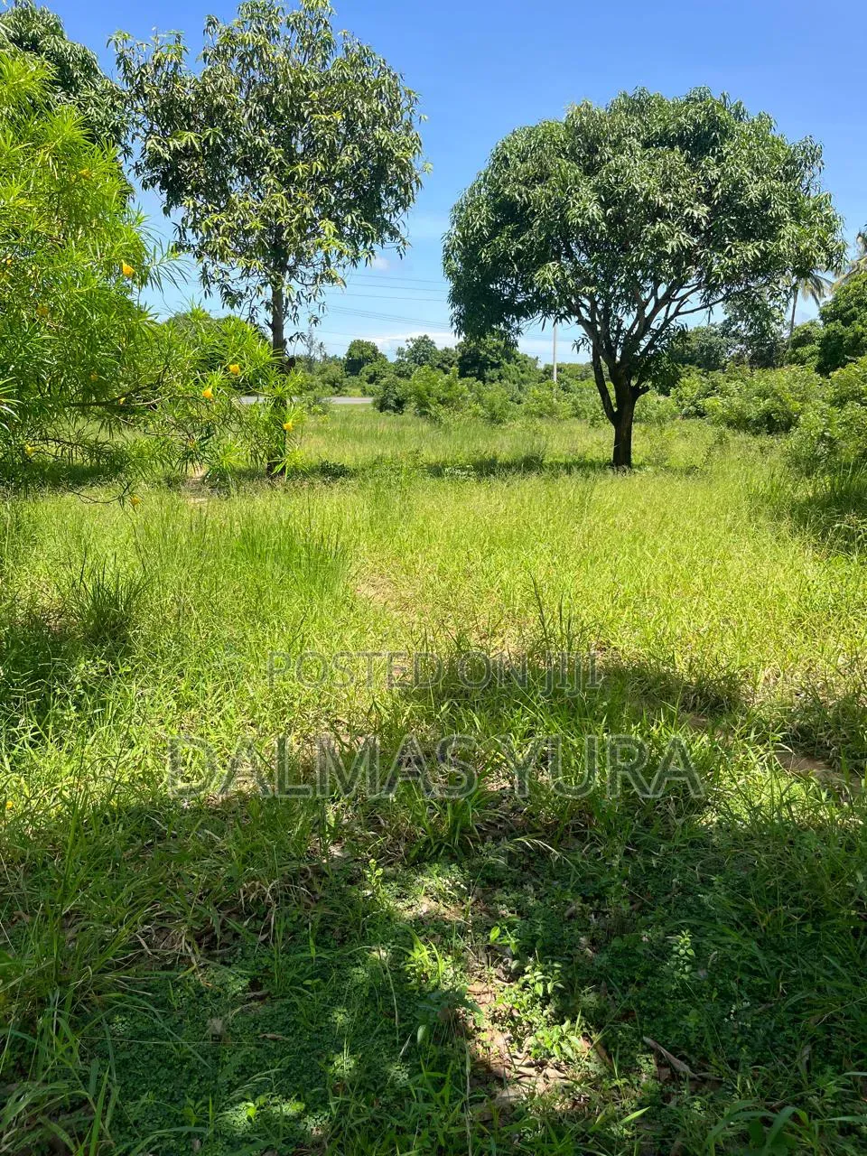 3 Acres Land at Gede