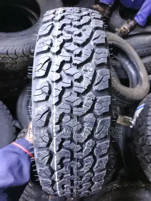 175/80r14 Everland