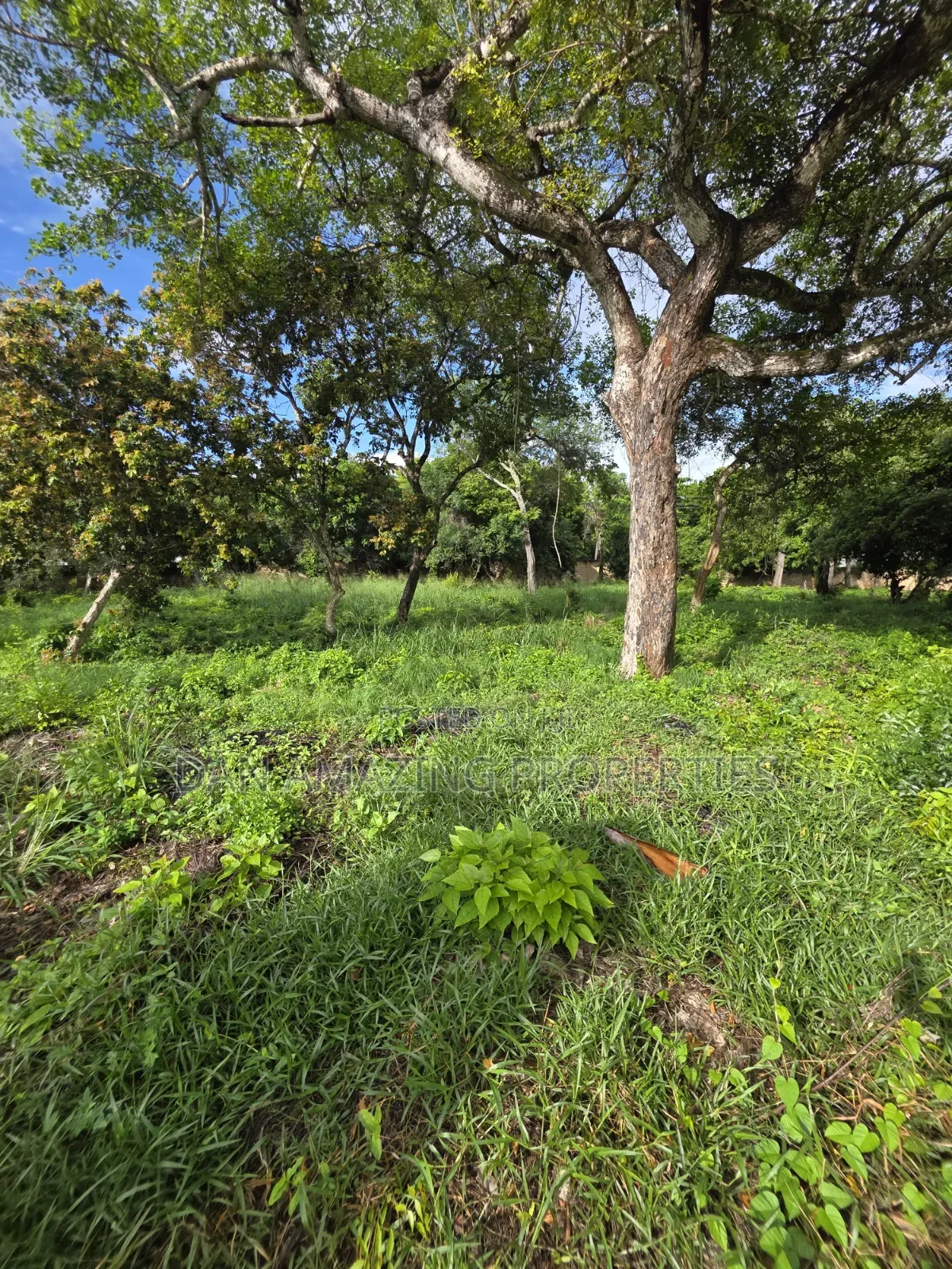 1/4 Acre Beachfront Plots Diani in a Gated Communiry for Sale