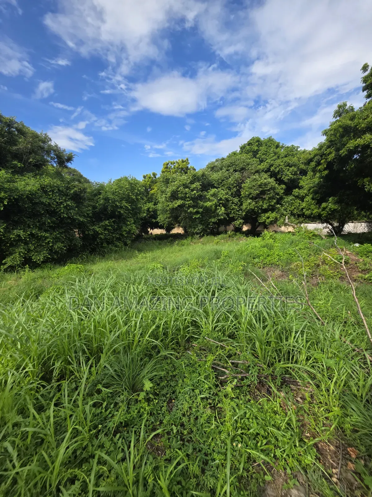 1/4 Acre Beachfront Plots Diani in a Gated Communiry for Sale