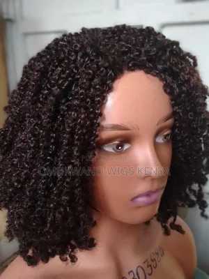 Afro Bulk Kinky Twist Wig