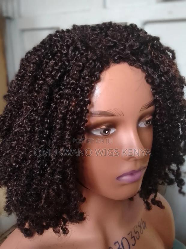 Afro Bulk Kinky Twist Wig