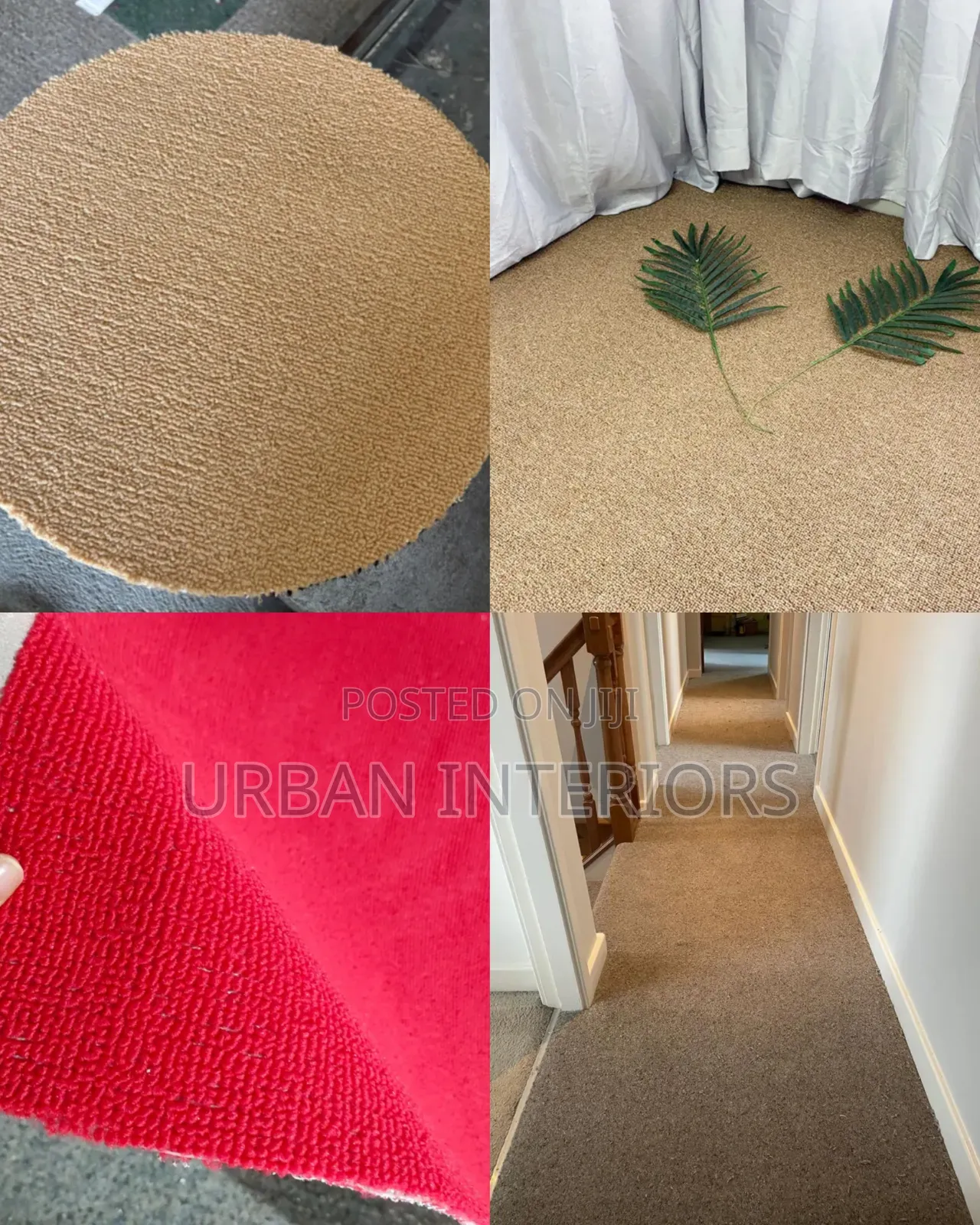 Beige Red Carpet Beige Carpet Bright Colours Etwerk