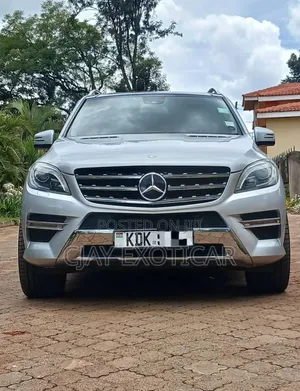 Mercedes-Benz M Class 2014 Silver