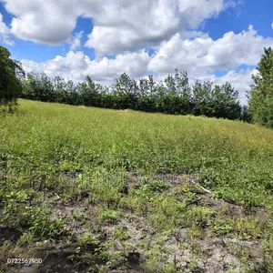 5 Acres Land for Sale in Kiserian Along Isinya Road