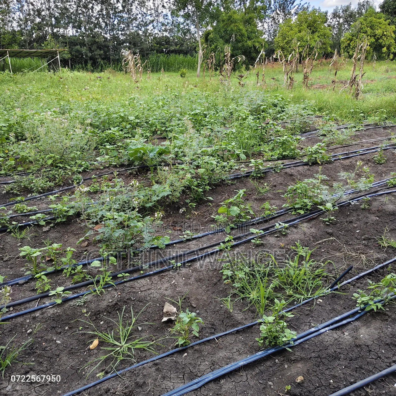 5 Acres Land for Sale in Kiserian Along Isinya Road