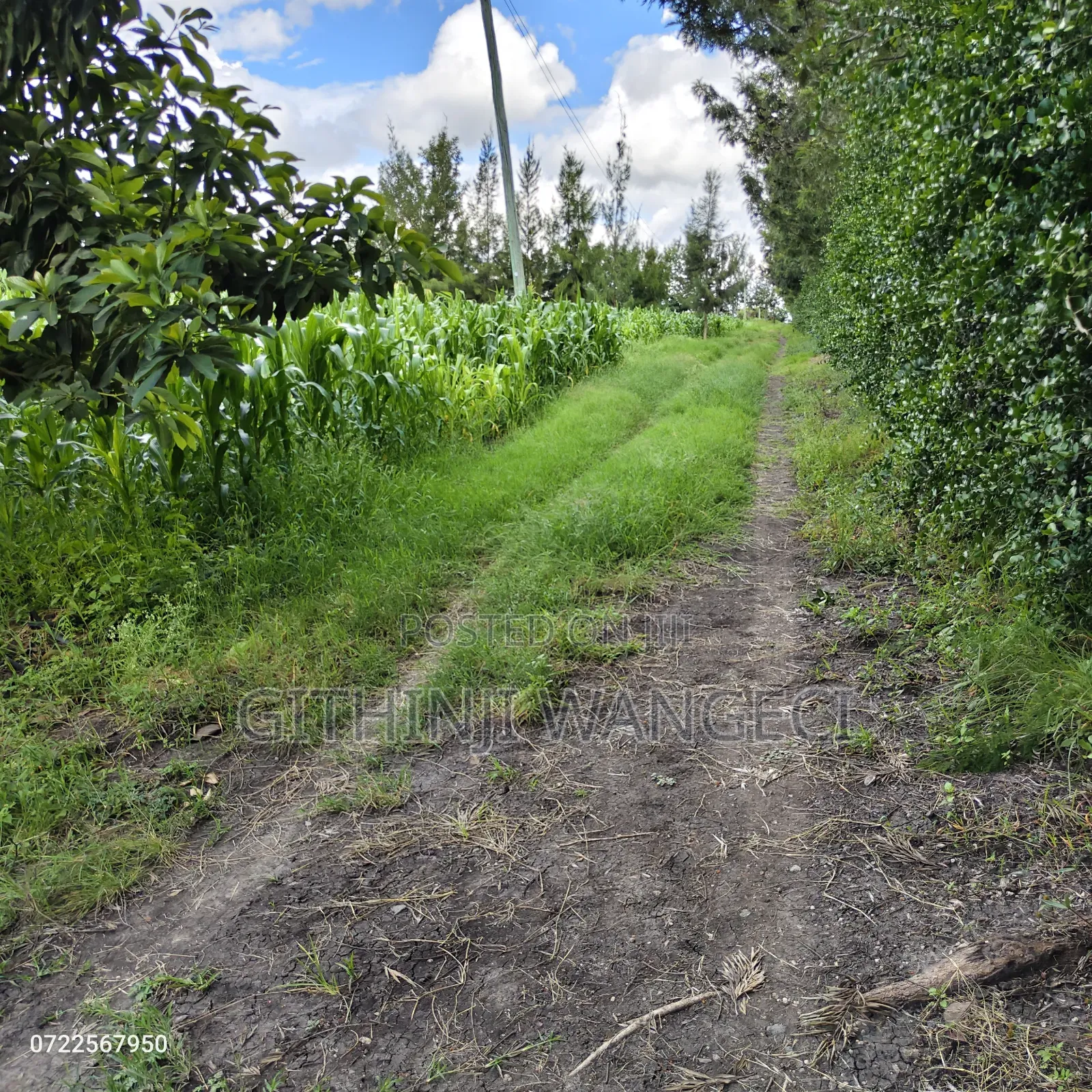 5 Acres Land for Sale in Kiserian Along Isinya Road