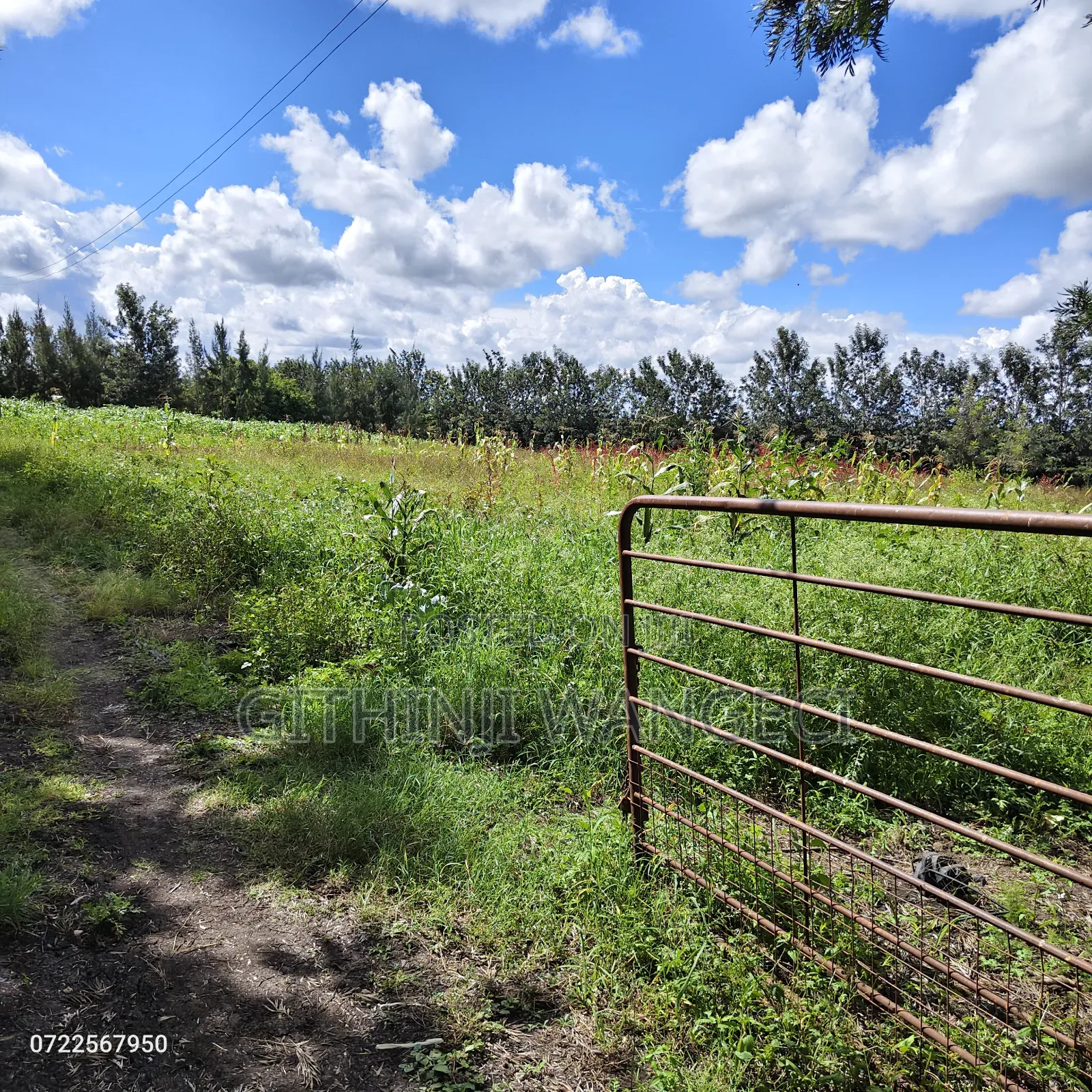 5 Acres Land for Sale in Kiserian Along Isinya Road