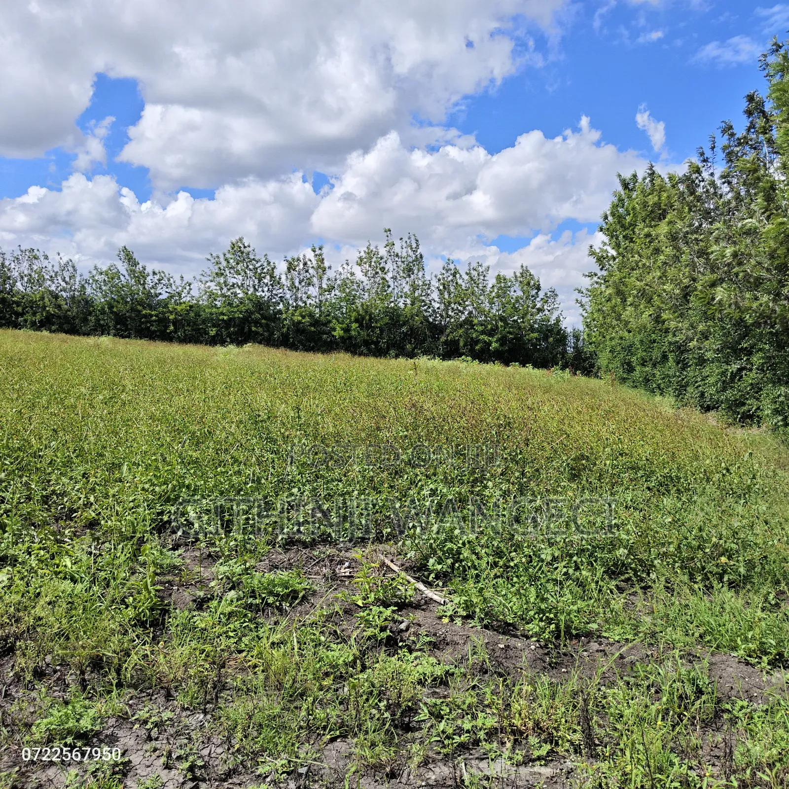 5 Acres Land for Sale in Kiserian Along Isinya Road