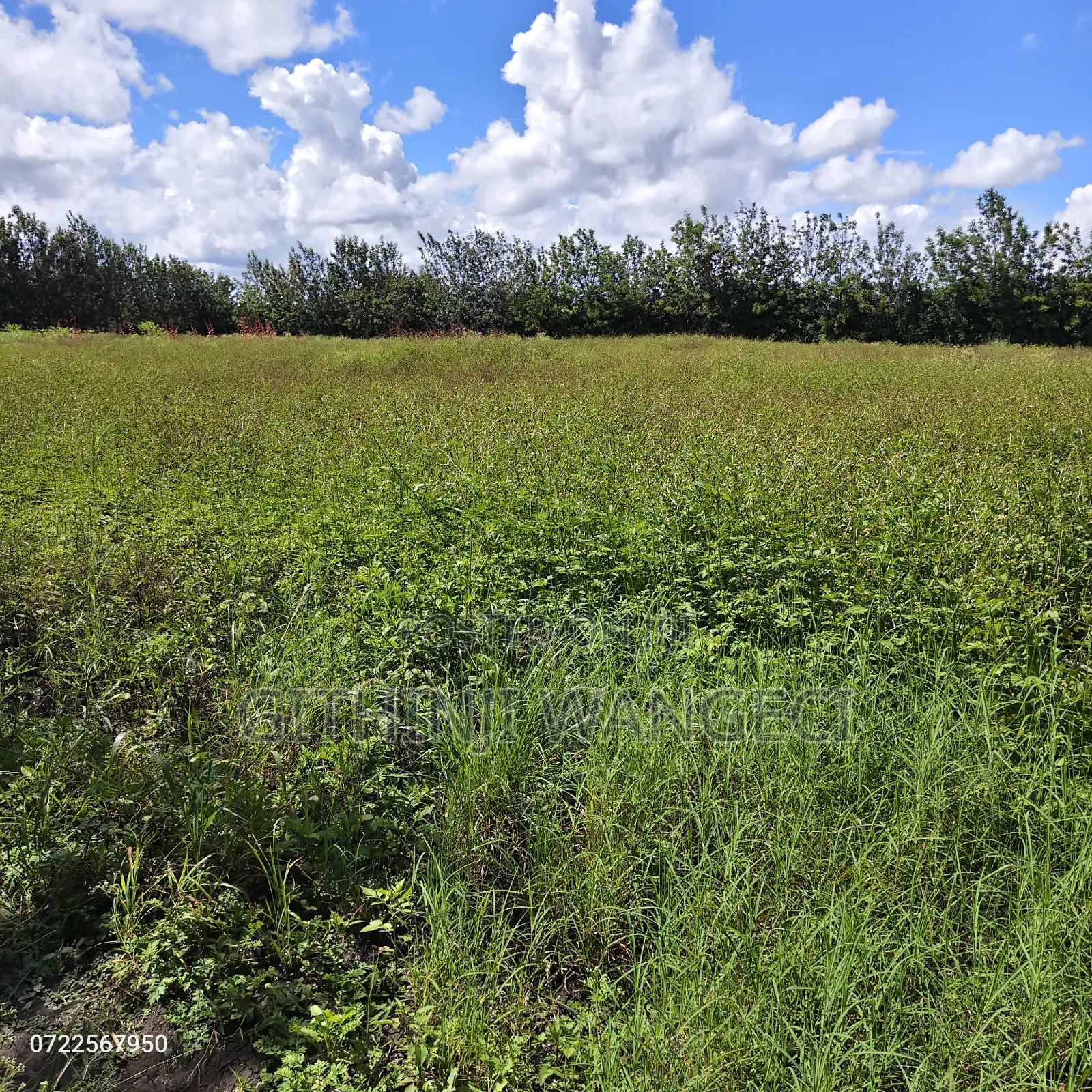 5 Acres Land for Sale in Kiserian Along Isinya Road