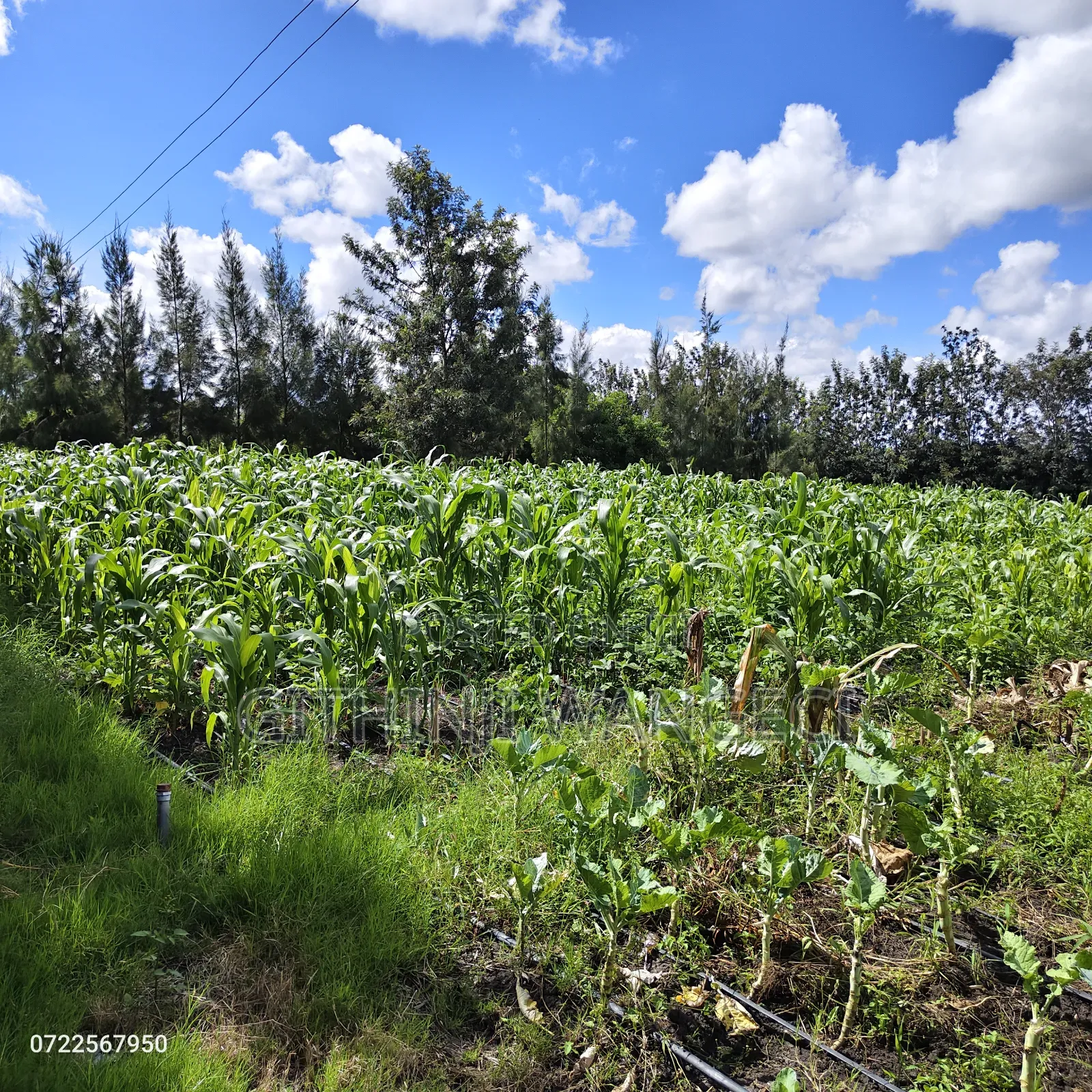 5 Acres Land for Sale in Kiserian Along Isinya Road
