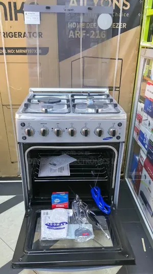 Ecomax Standing Cooker 60×60
