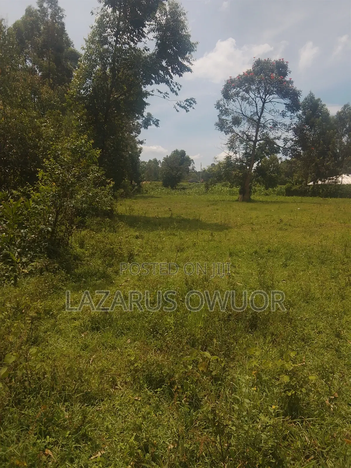 Land for Sale