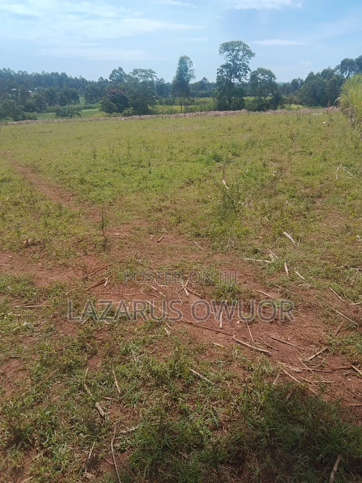 Land for Sale