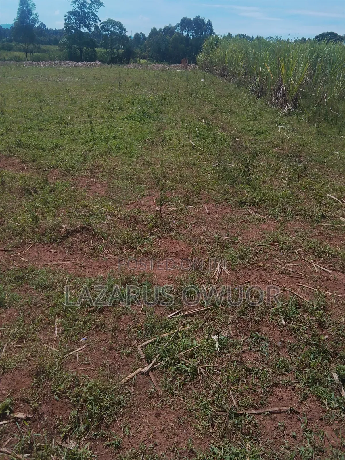 Land for Sale