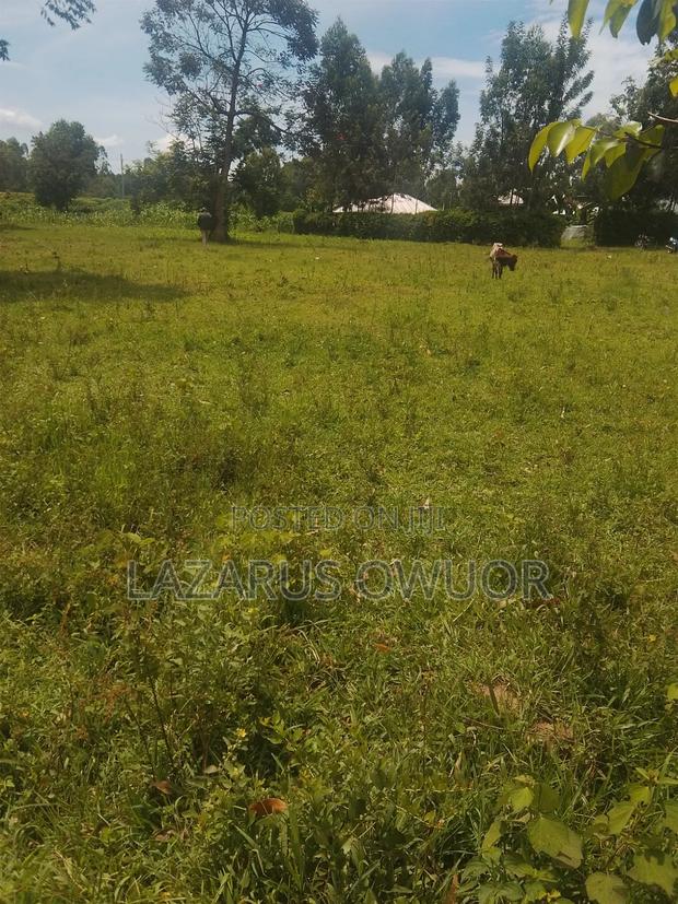 Land for Sale - thumbnail 5