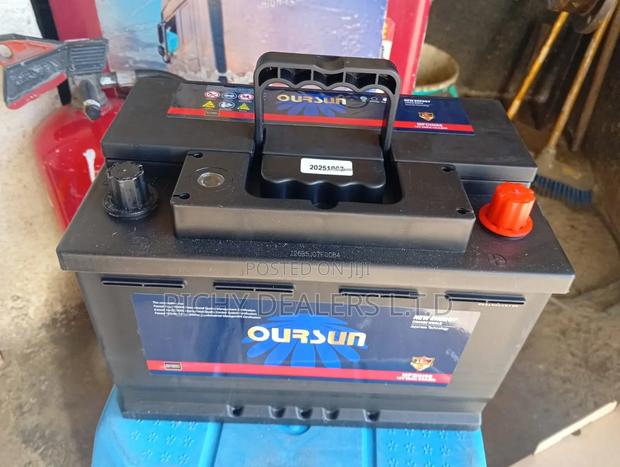 Oursun Din66 Maintenance Free Car Battery