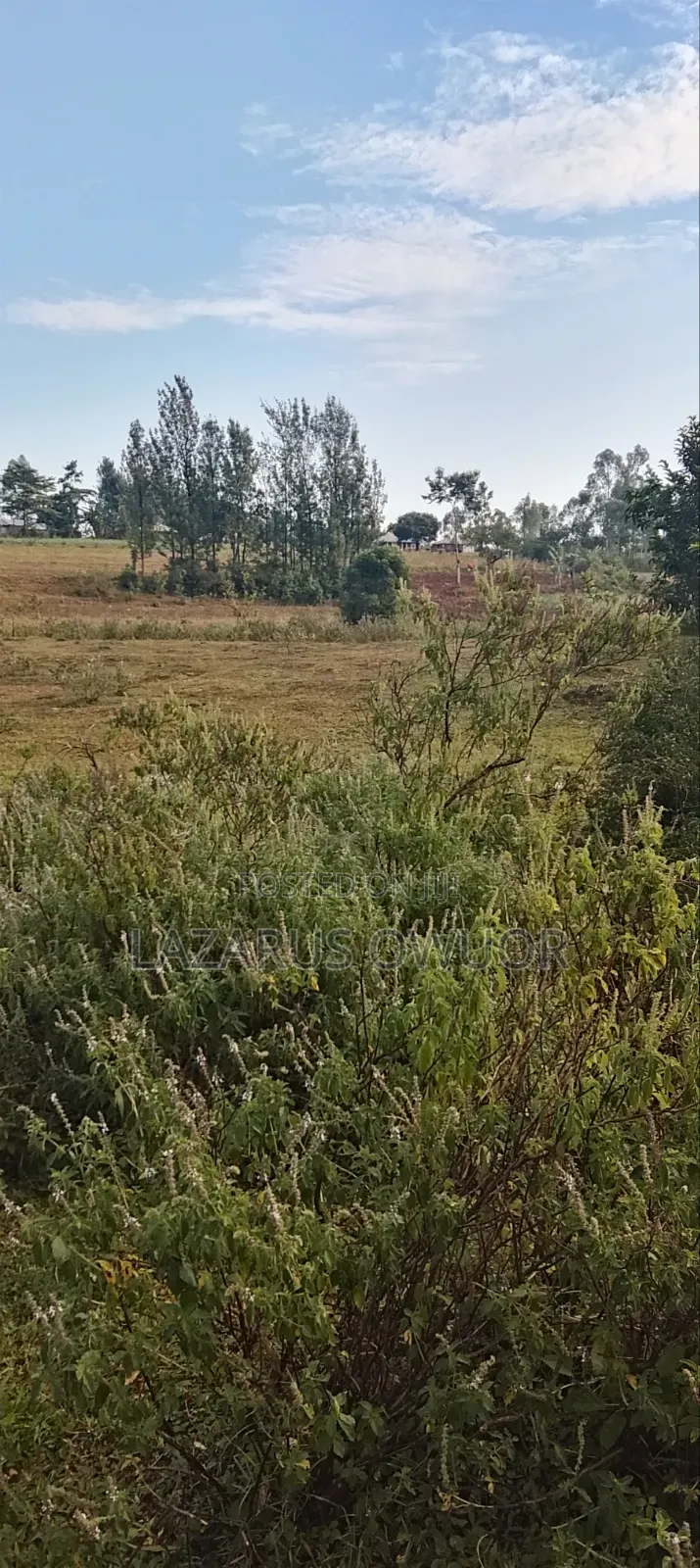 Plot for Sale