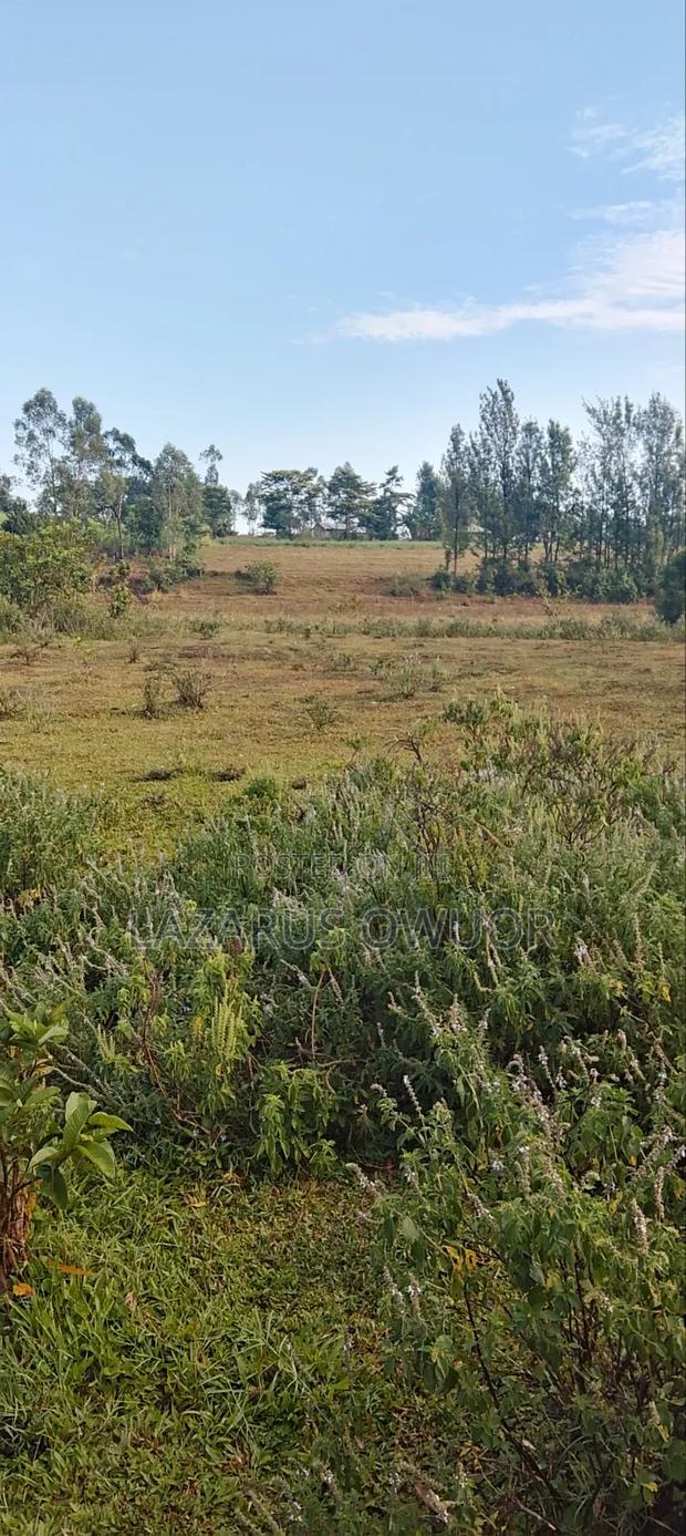 Plot for Sale - thumbnail 2